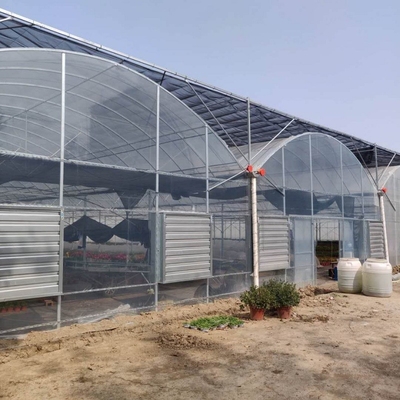 Grande estufa transparente do período de 200 mícrons de Coverd do filme plástico de Agroculture multi