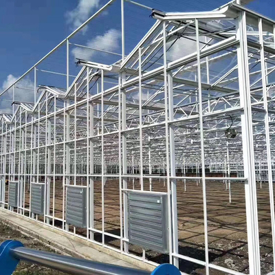 Multi coberta de vidro 1000m2 da fibra de vidro da estufa de Venlo da construção de aço do período